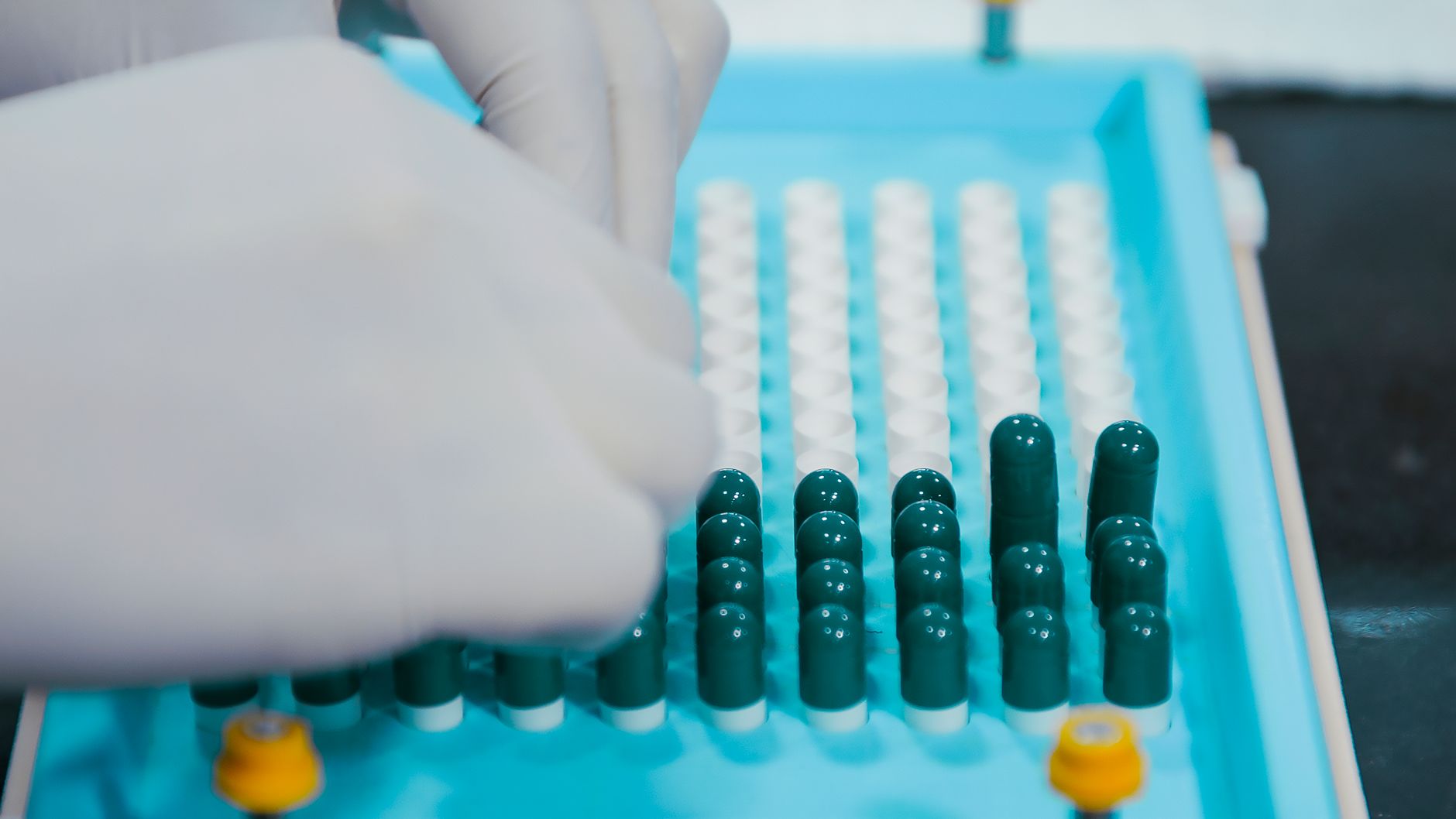 JEECUP Pharmacy Choice Filling: Quick Guide to Success